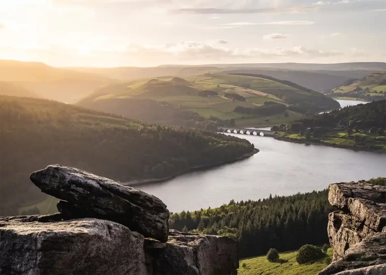 BamfordEdge1 768x549