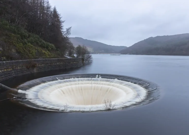 ladybowerplugholes 768x549